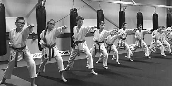Karate gevorderden